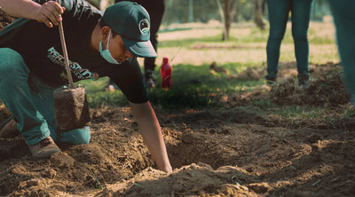 Tree planting with One Tree Planted, ten trees per watch