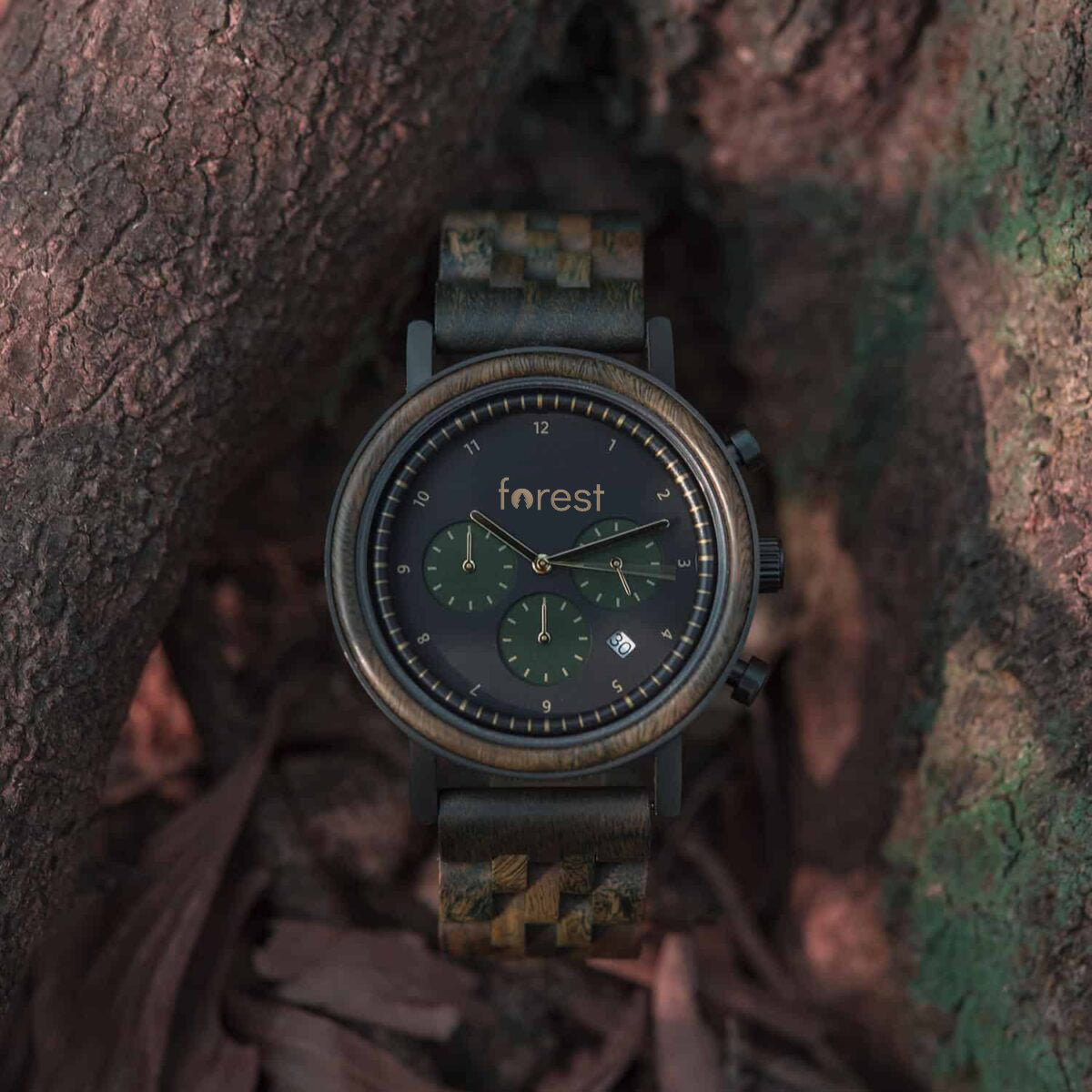 Hunter forest wooden watch main image with tree background