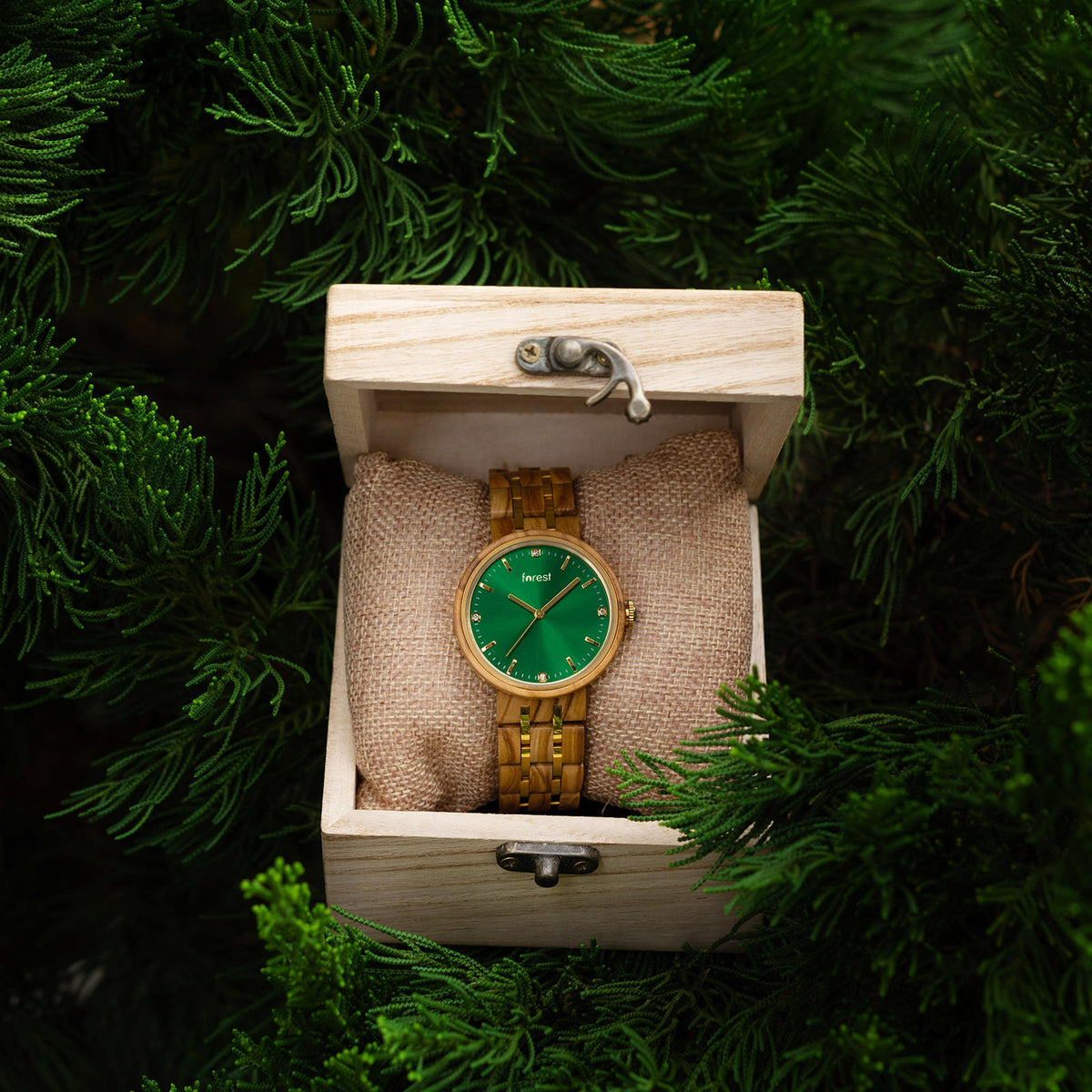 Emerald face wood watch with olivewood strap in a gift box suspended in a tree