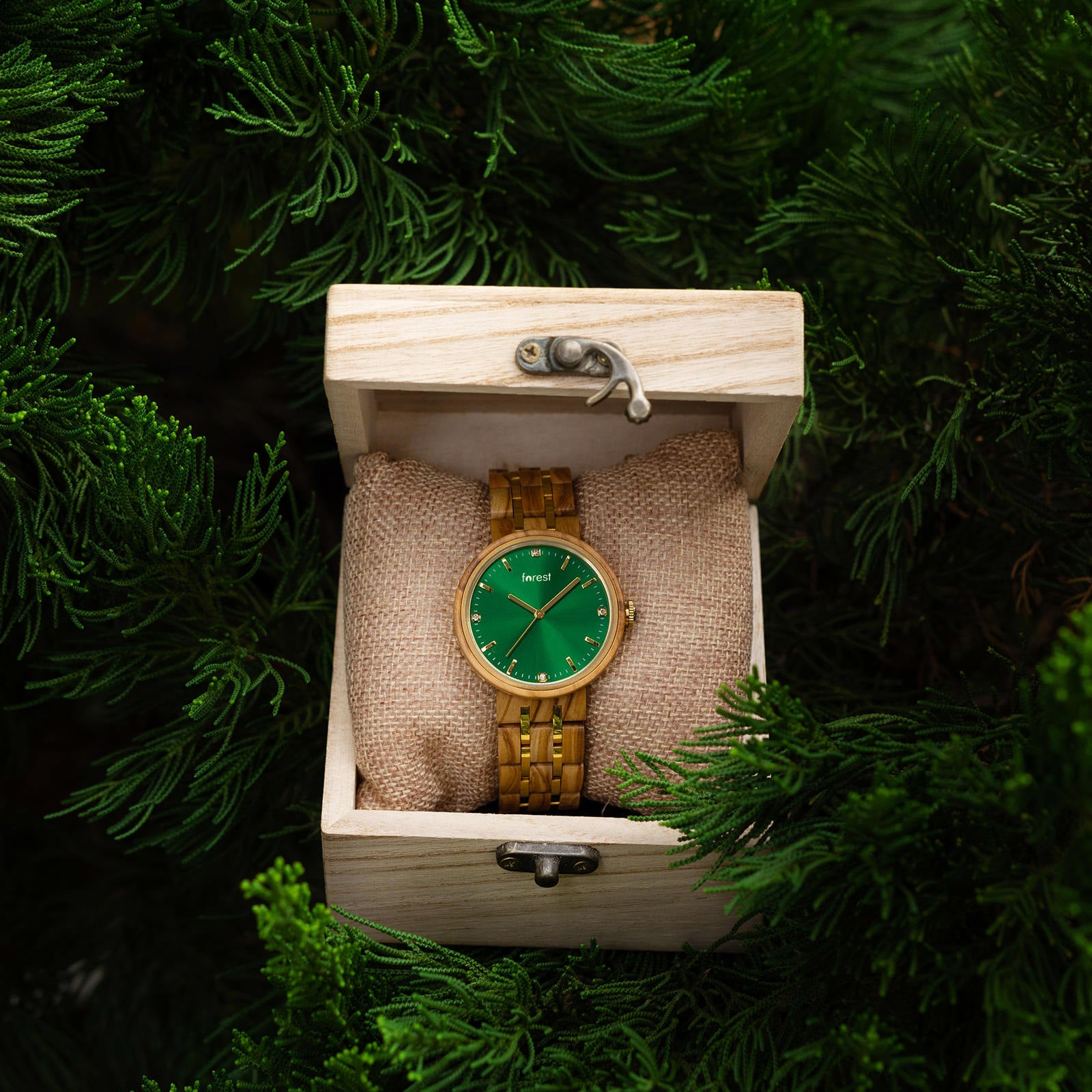 Emerald face wood watch with olivewood strap in a gift box suspended in a tree