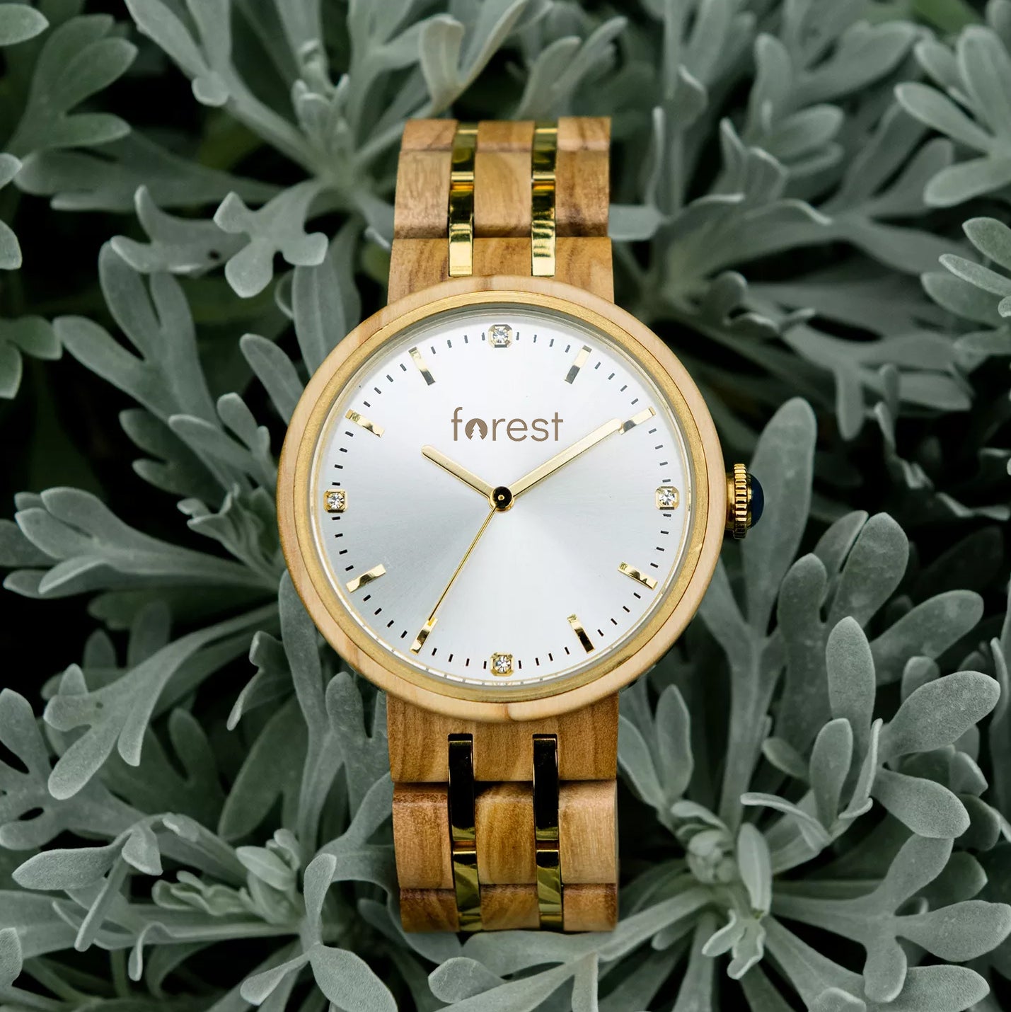 Forest wood watch victoria on a leafy background front facing