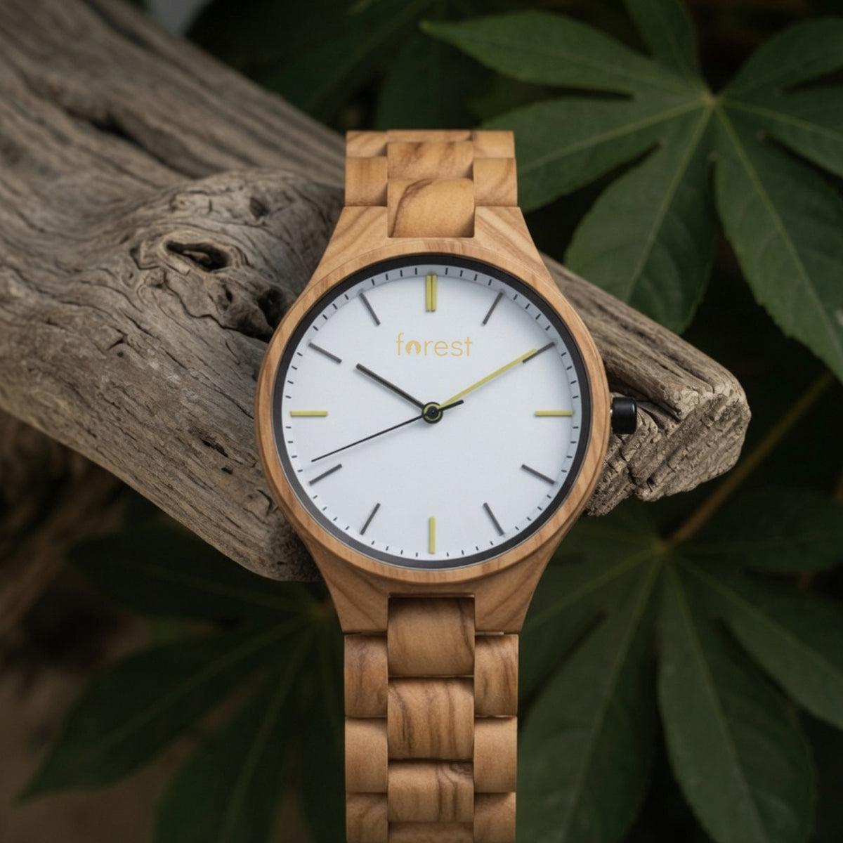 Dawn wooden watch draped over the edge of a driftwood branch
