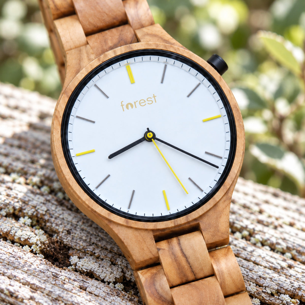 Dawn olivewood watch on pale driftwood, close-up of the white dial