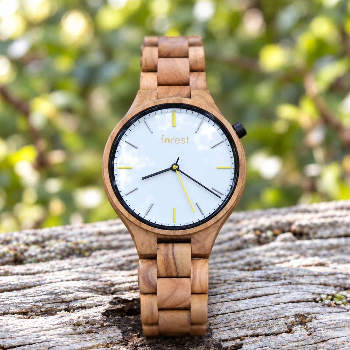 Dawn olivewood watch with a white dial, standing on pale driftwood