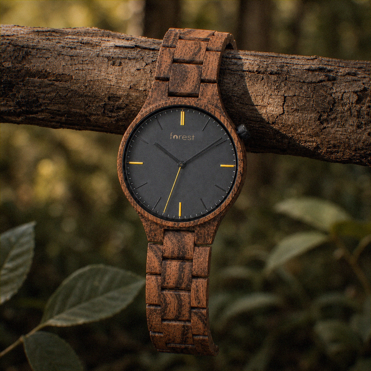 Dusk wooden watch hanging over a branch
