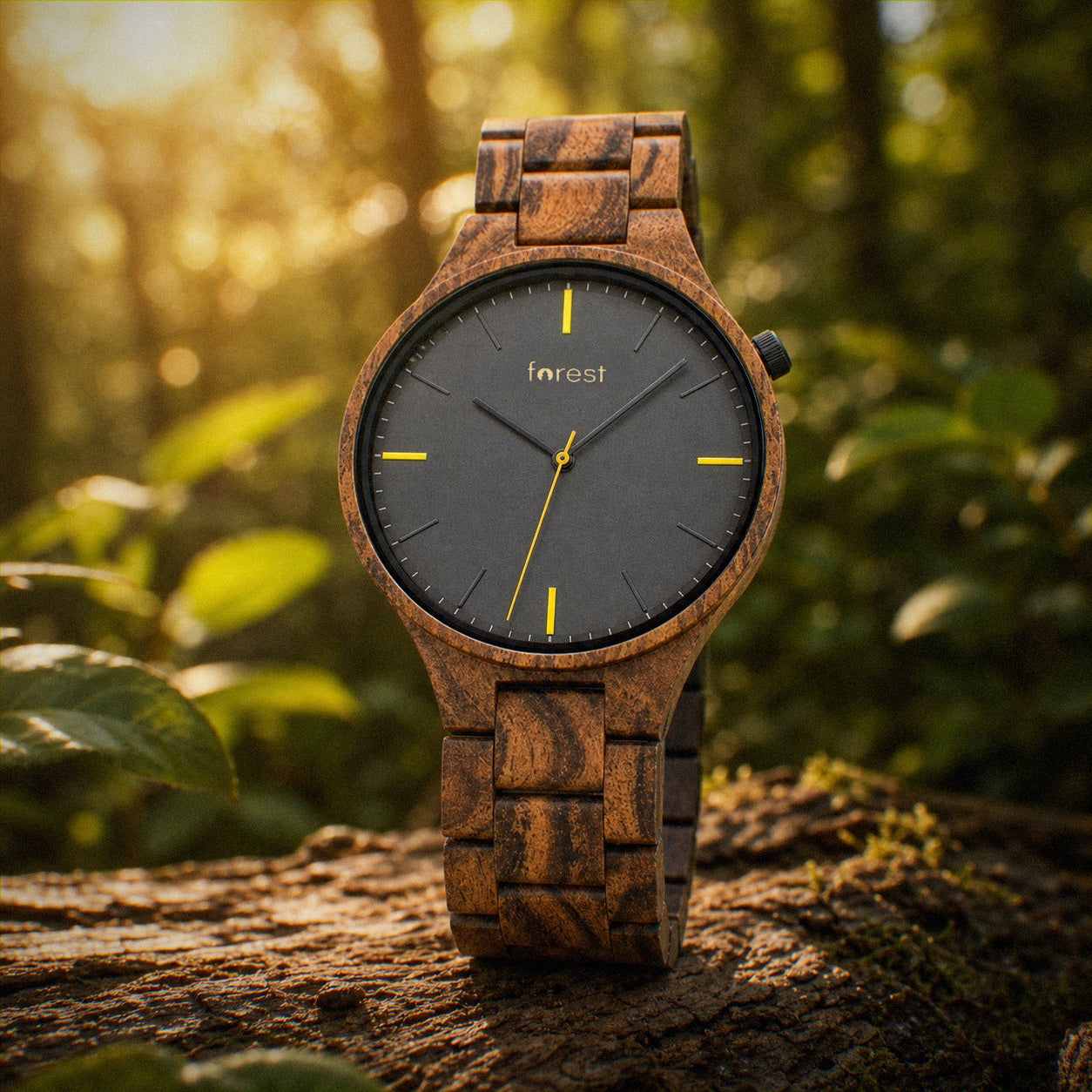 Dusk wooden watch low against the wood, woodland soft behind