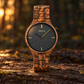 Dusk zebrawood watch standing on a log in low evening sun