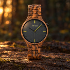 Dusk zebrawood watch standing on a log in low evening sun