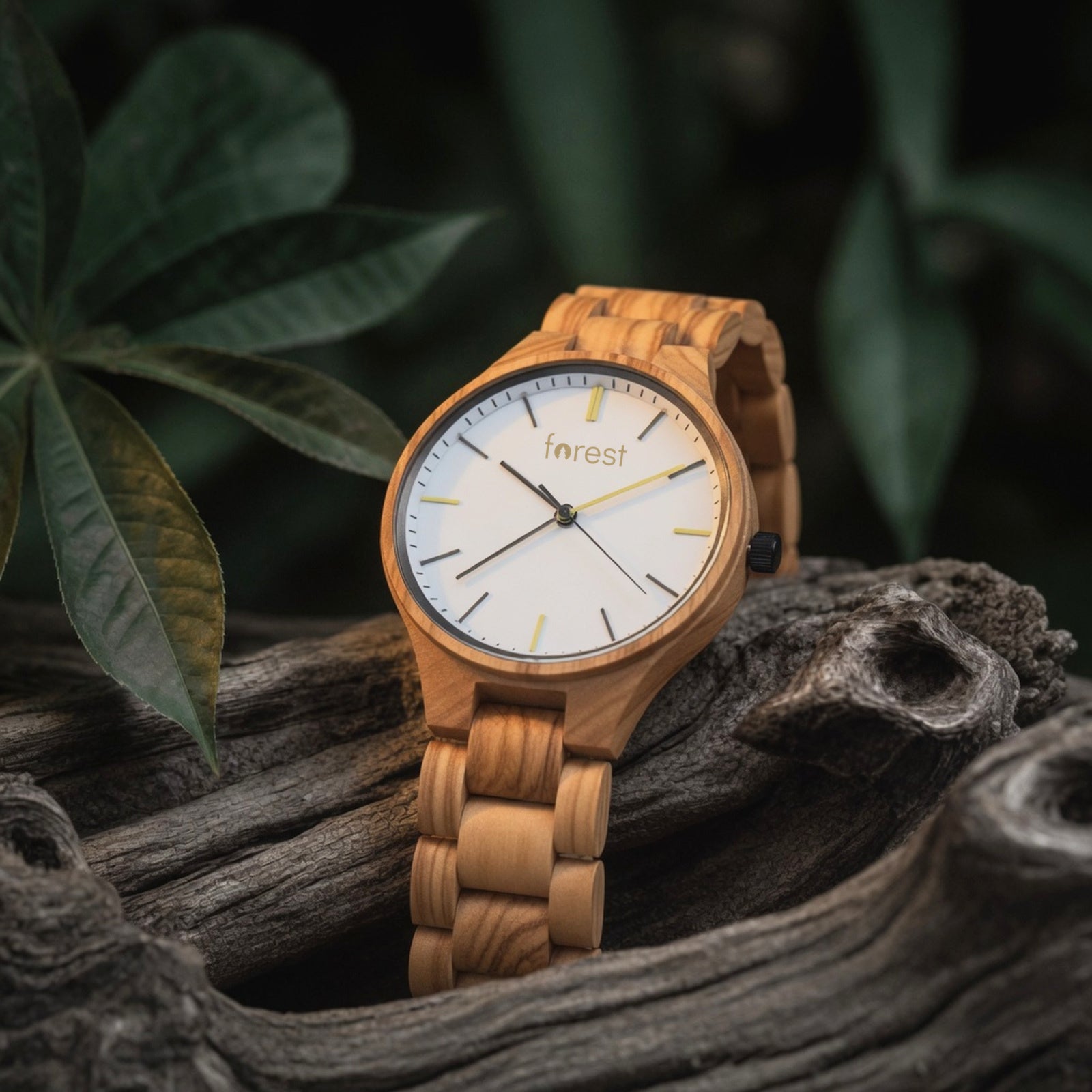 Dawn wooden watch, wide view