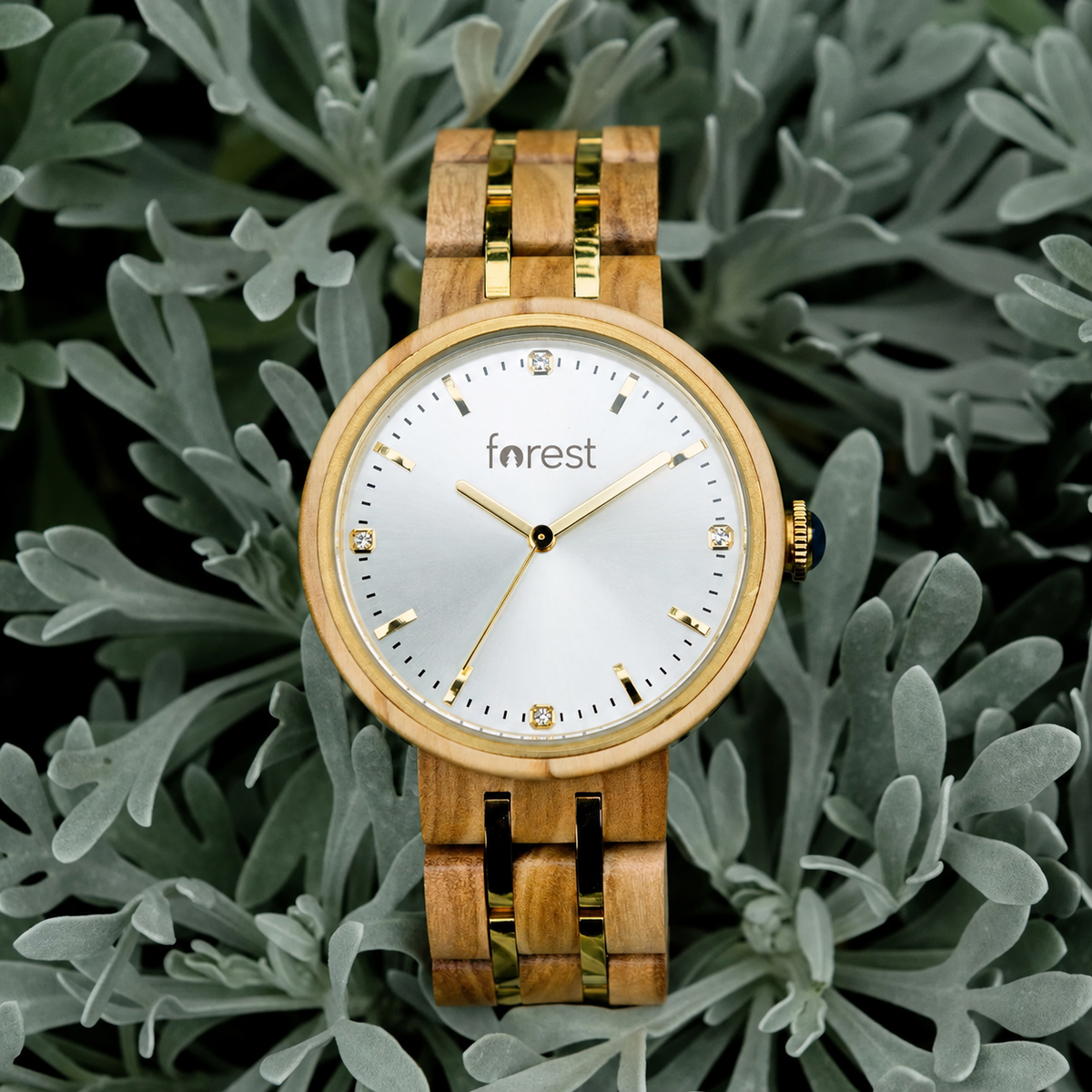 Forest wood watch victoria on a leafy background front facing
