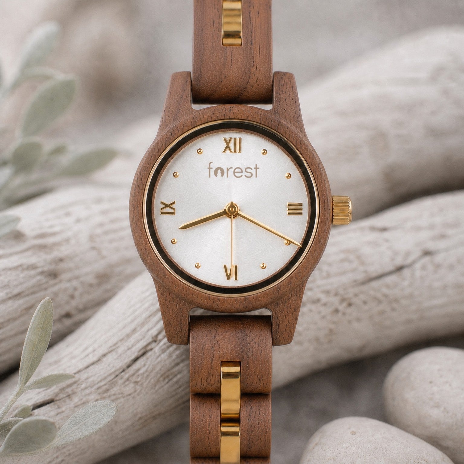 White dial Midnight wooden watch upright, walnut case and white dial with gold numerals