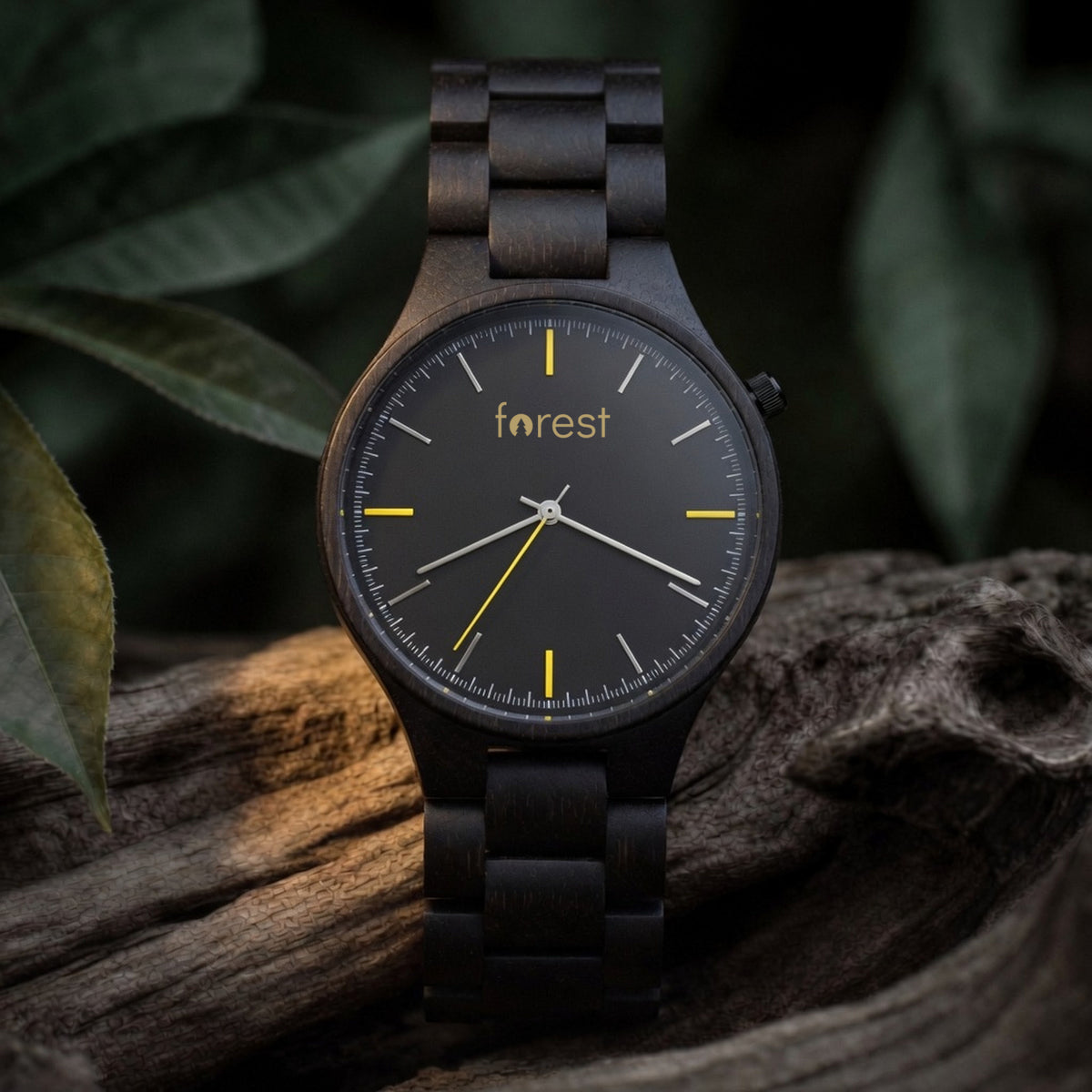Nightfall wooden watch standing on driftwood, ebony case and charcoal dial