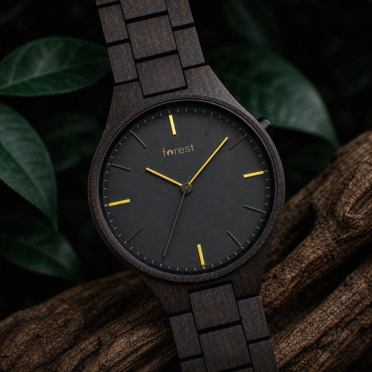 Nightfall wooden watch upright on driftwood among dark foliage