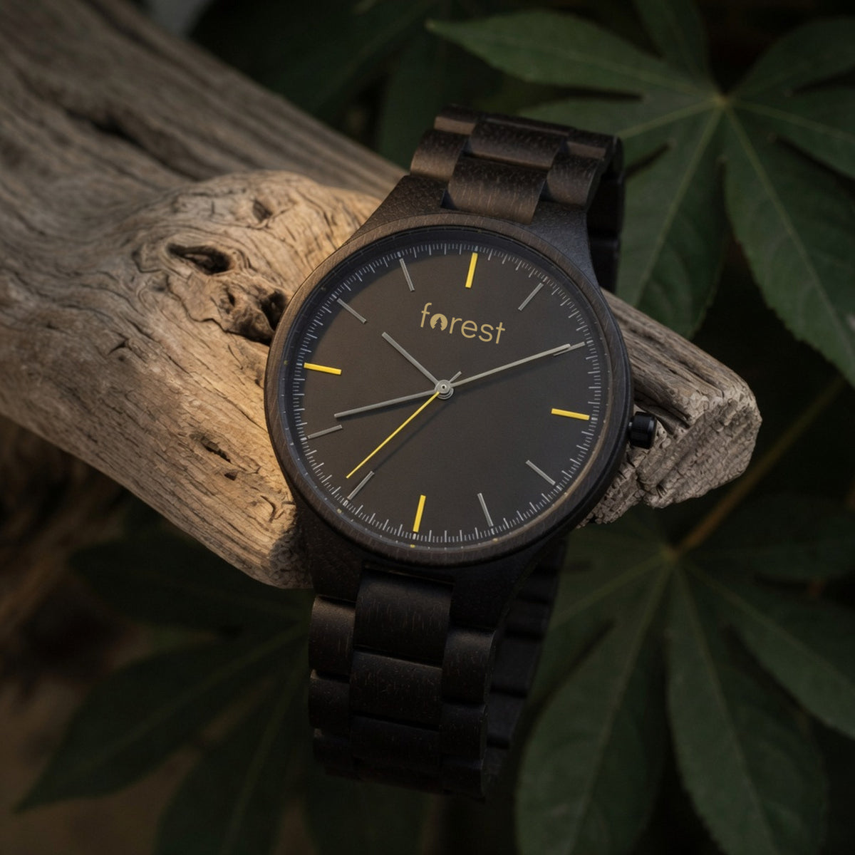 Nightfall wooden watch draped over the edge of a driftwood branch