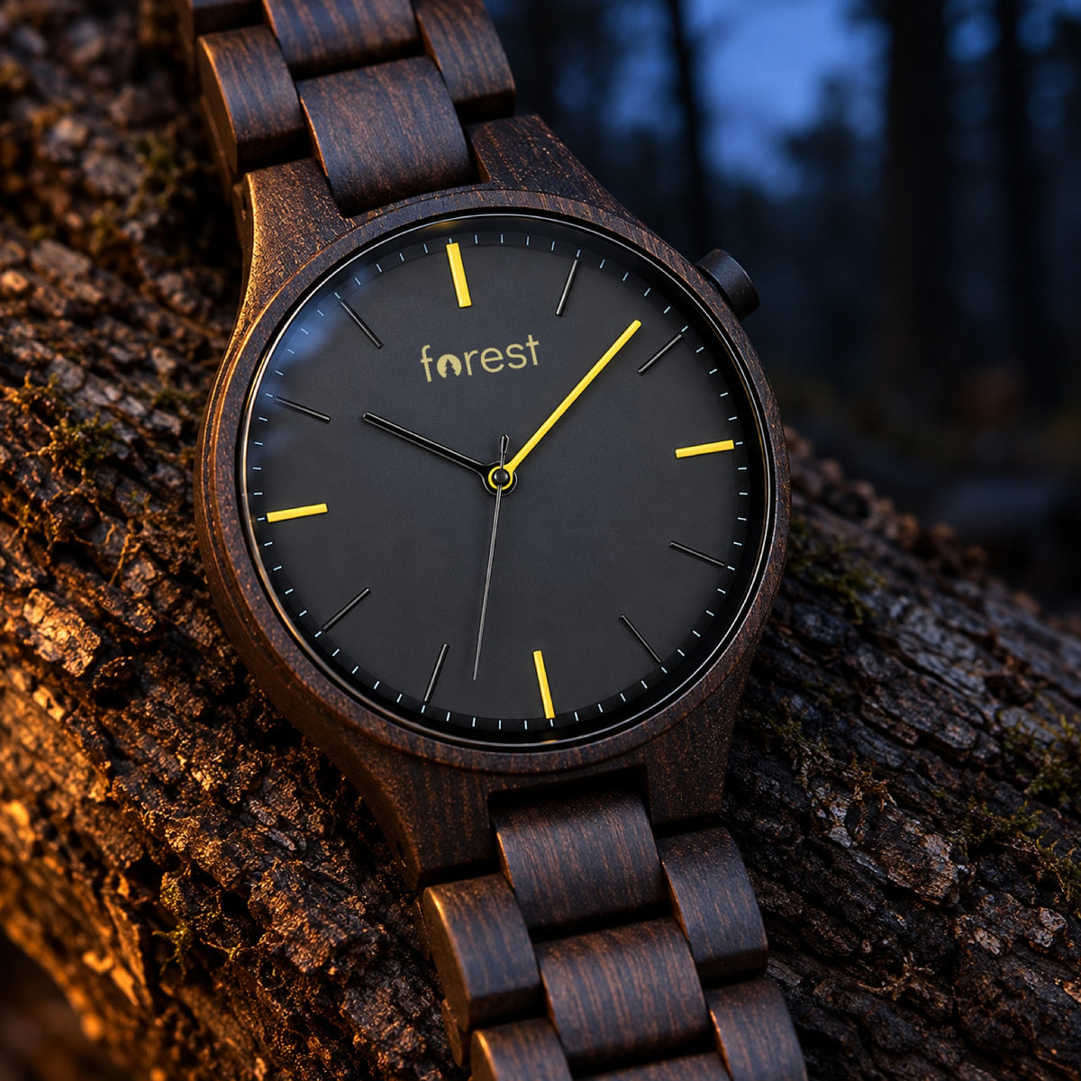 Close-up of the Nightfall dial and ebony case at night