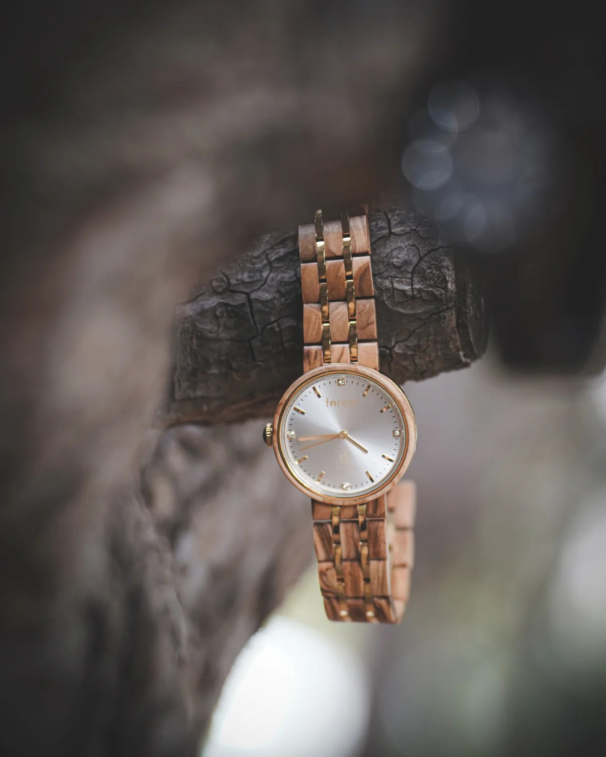 Victoria wooden watch hanging on charred wood, olivewood case and pale dial