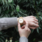 Forest wood watch Victoria on a ladies wrist as she sets the time