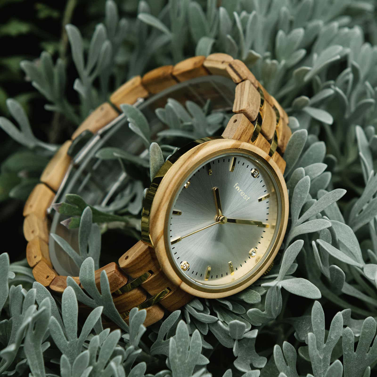 Victoria womans wooden watch photographed in a leafy shrub